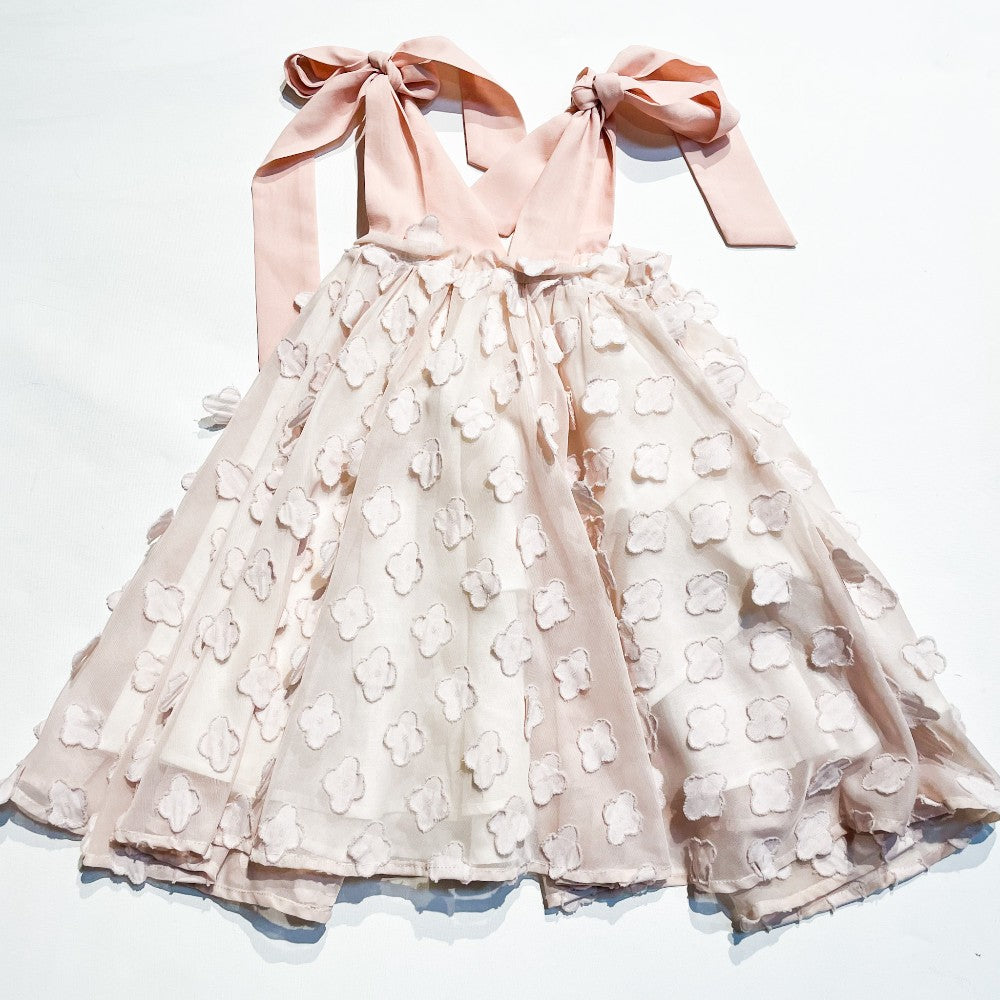 Chloe & Emelia Dress 3T Reg $210|91901