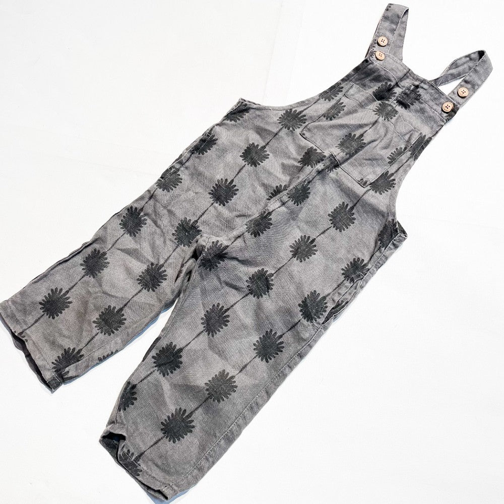 Zara Overalls 2Y|162261
