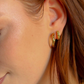 Ribbed Honey Huggie Hoops -18K PVD Gold Plating|186979