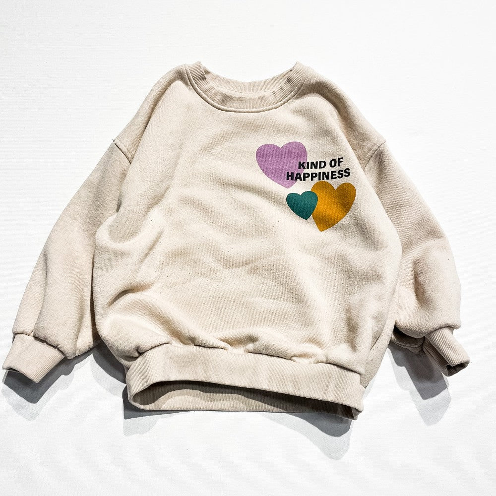 Zara Sweatshirt 4Y *Imperfection|221922