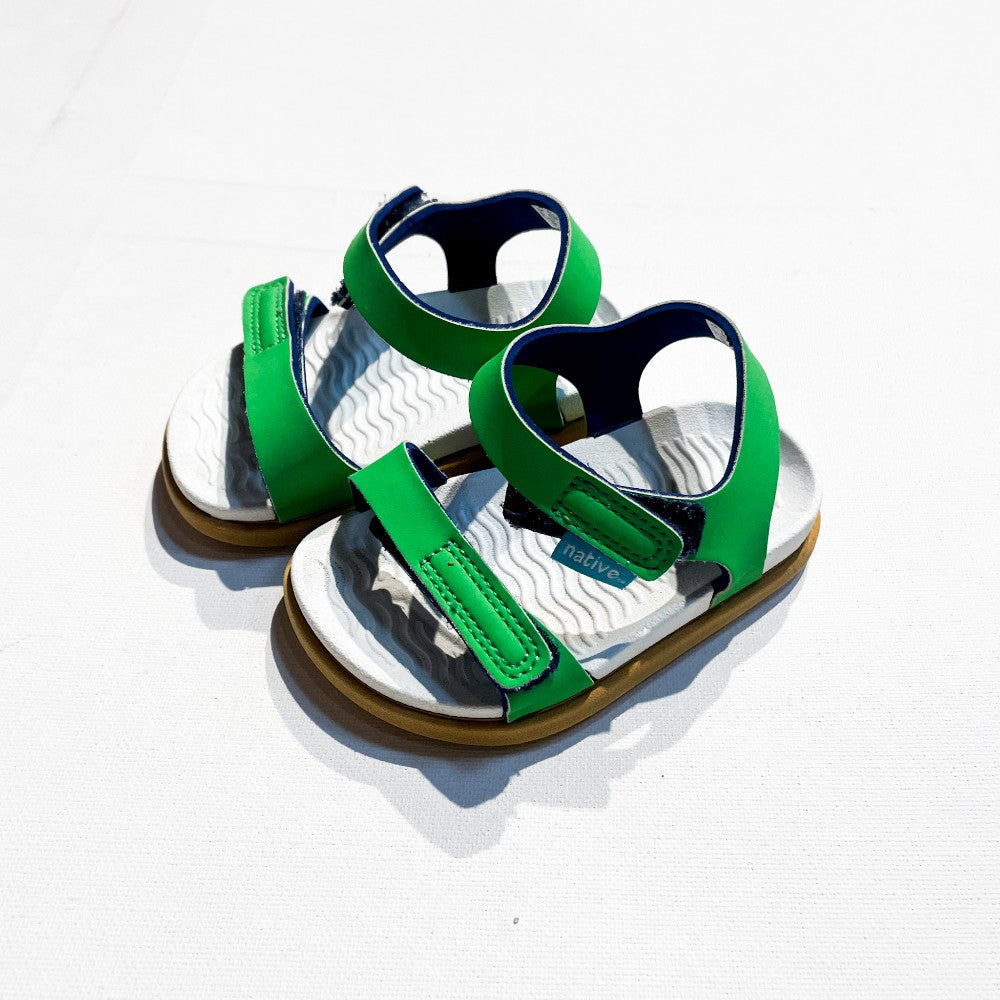Native Shoes 5|158284