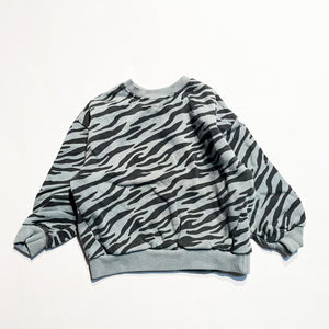 Zara Sweatshirt 2-3T|95875