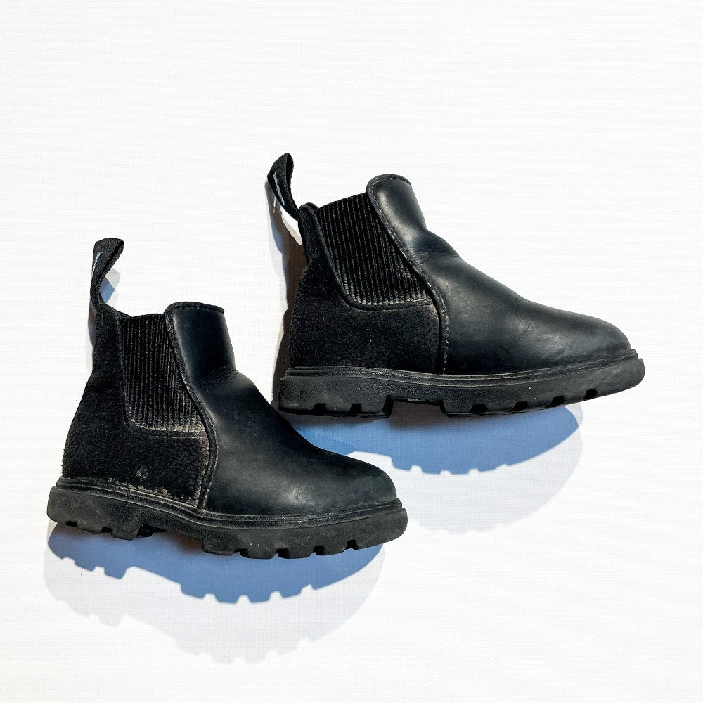 Native Shoes 6|186501