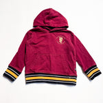 Wezc Hoodie 4Y|133849