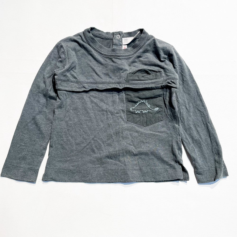 Zara Shirt 2-3Y|132632