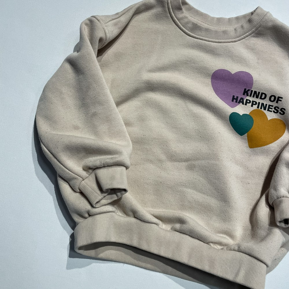 Zara Sweatshirt 4Y *Imperfection|221921