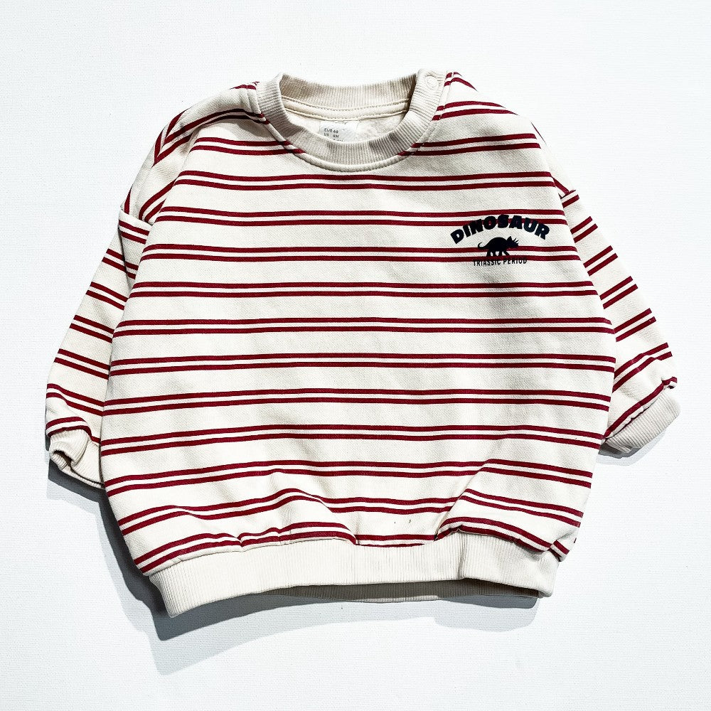H&M Sweatshirt 4-6M|213259