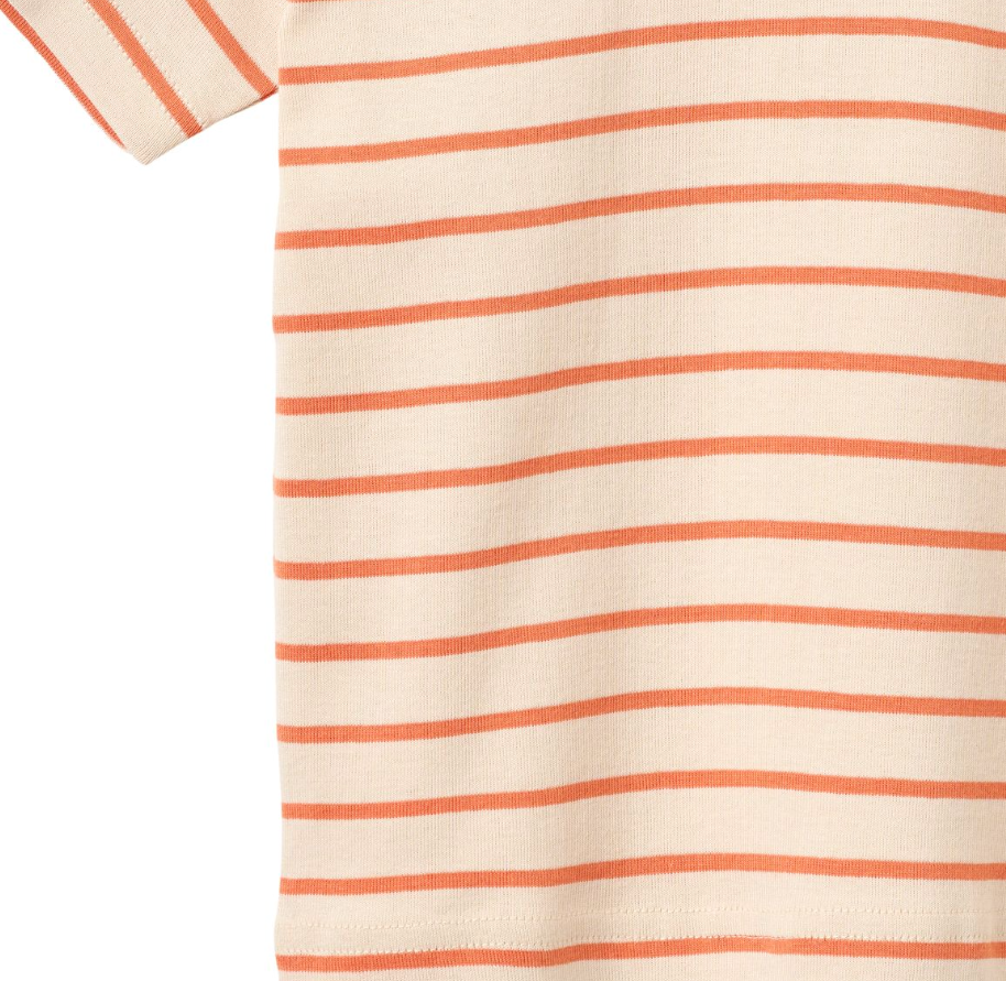 Wheat - T-shirt S/S Jay Orange Stripe|197209