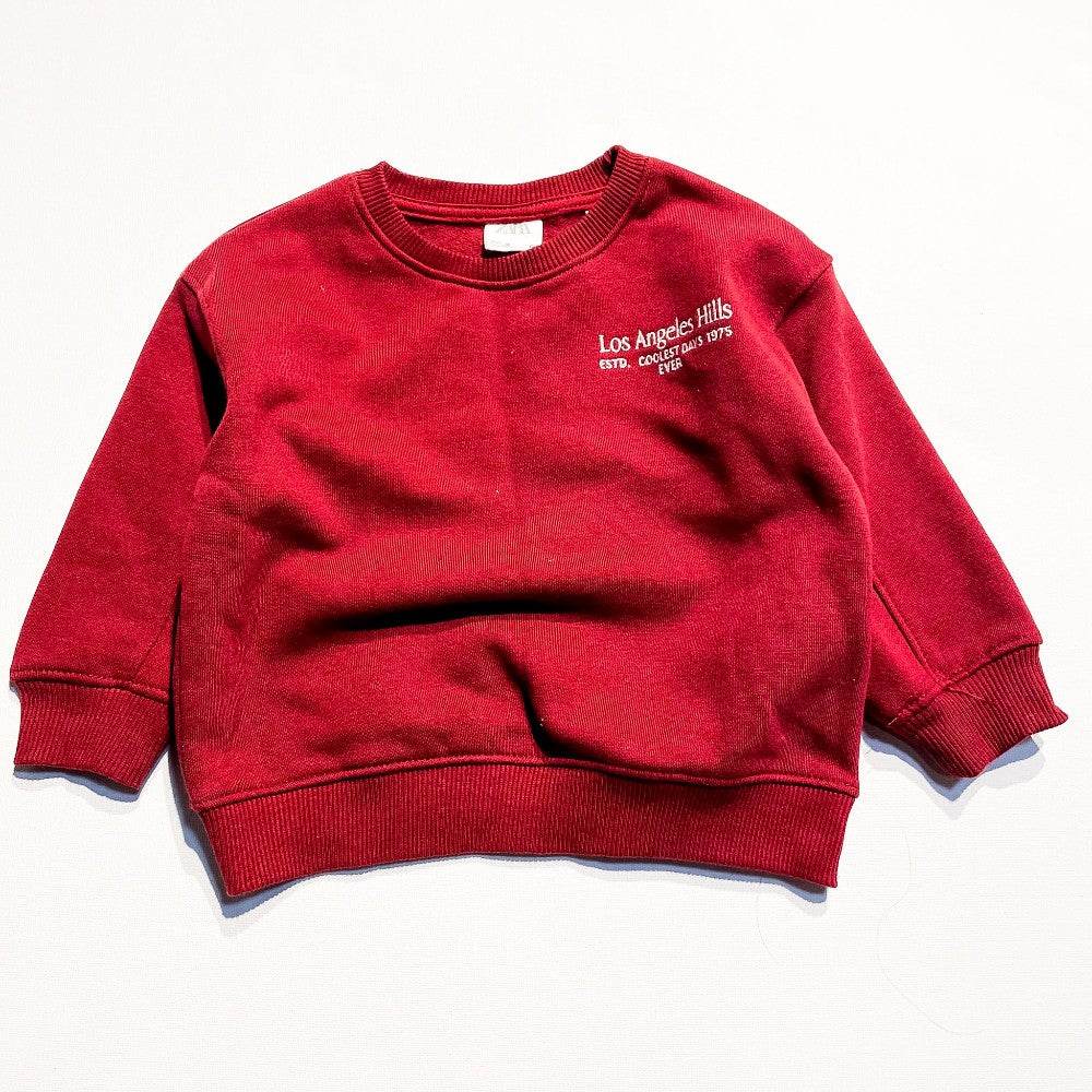 Zara Sweatshirt 2Y|195269