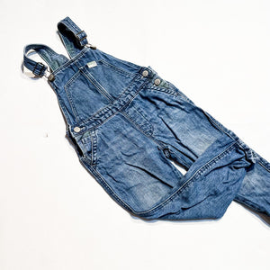 Zara Overalls 2-3Y|170783