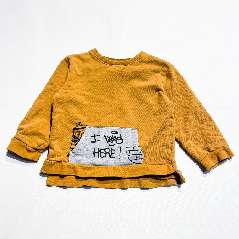 Zara Sweatshirt 2-3Y|133886