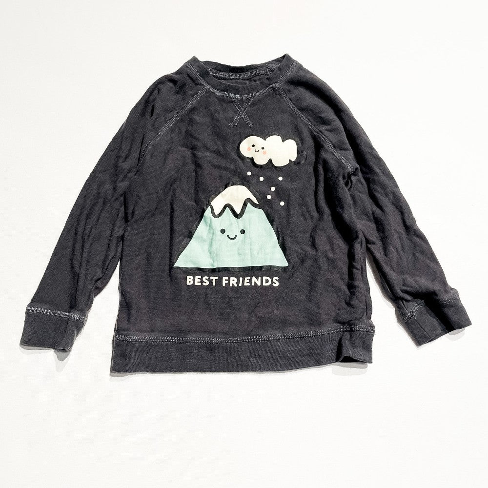 Silkberry Sweatshirt 4-5Y|197428