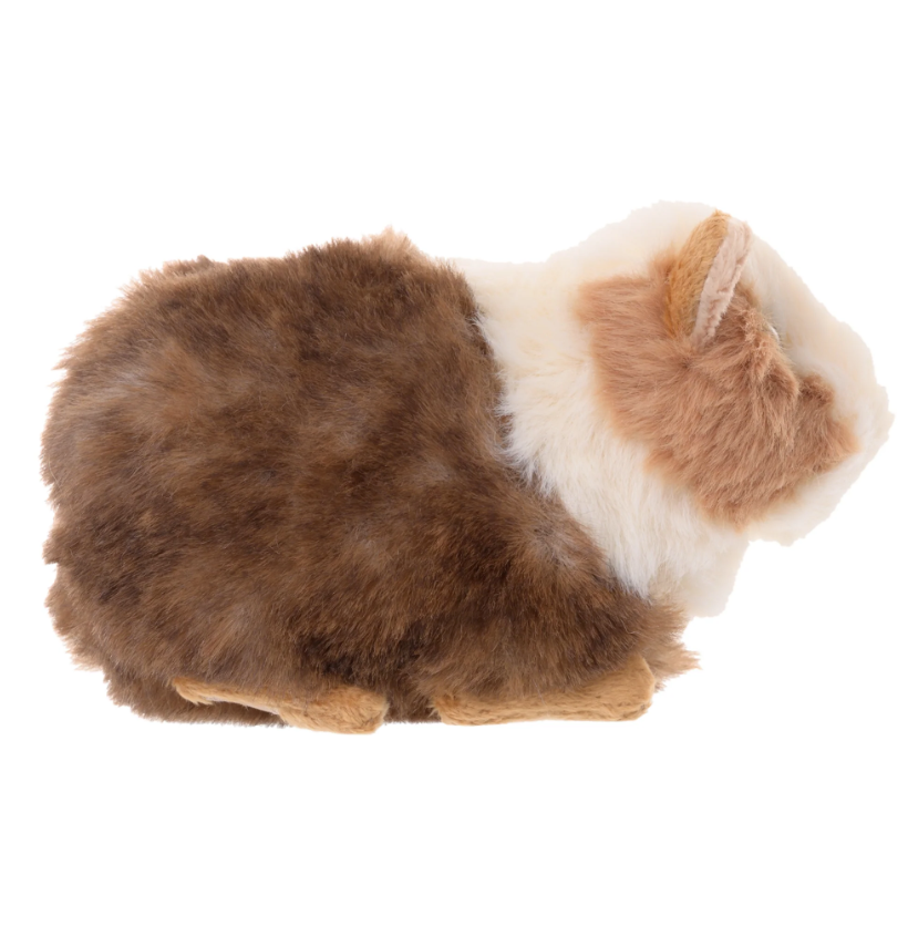 Bukowski - Piggy 6"|179465