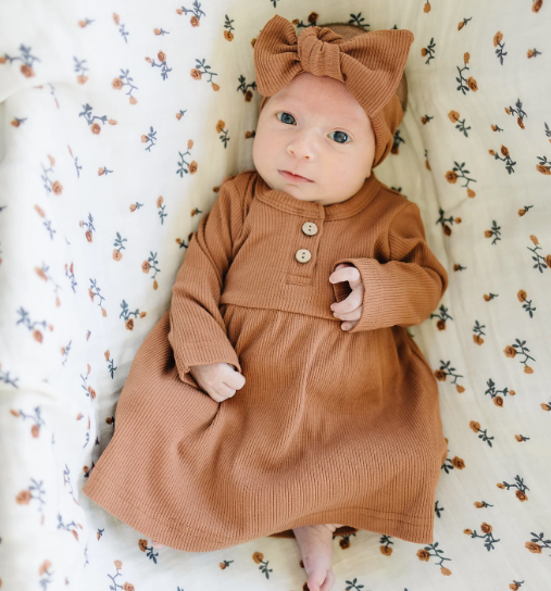 Mebie Baby - Rust Long Sleeve Organic Dress|91182