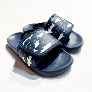 Slides 11/12|155094