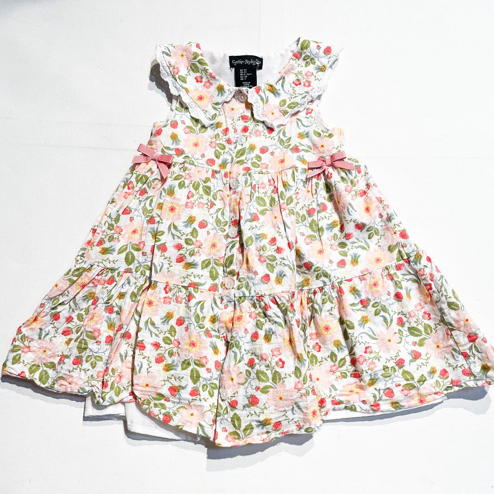 Cynthia Rowley Dress 2-3Y|161081