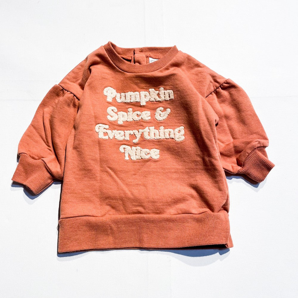 Pl Baby Sweatshirt 9M|184343