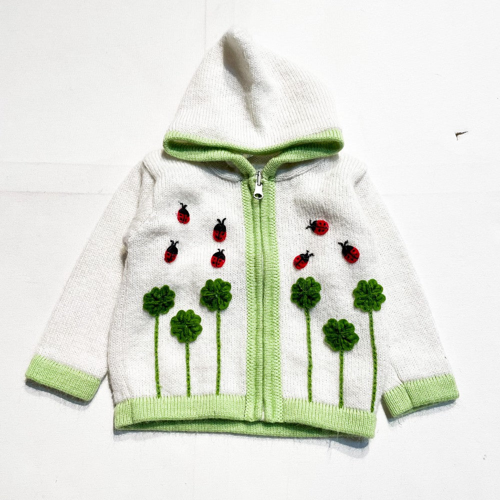 Sweater 6-12M|166893
