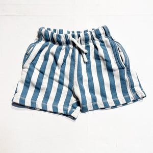 Zara Shorts 2Y|169252