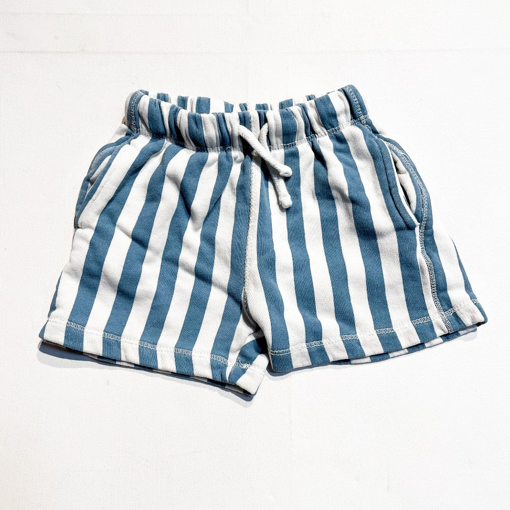 Zara Shorts 2Y|169252