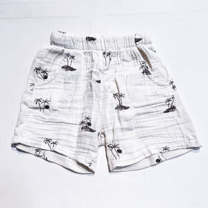 Zara Shorts 4Y|168448