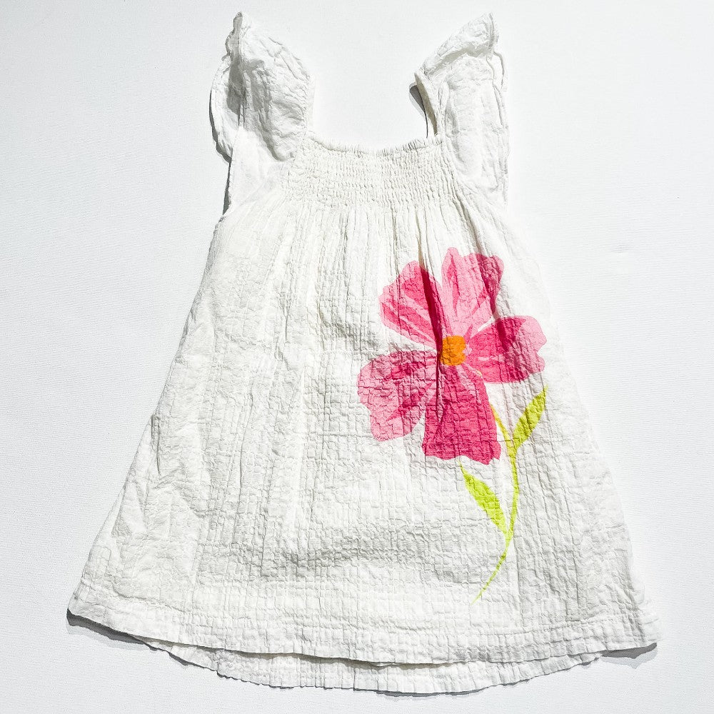Zara Dress 5/6Y|218905