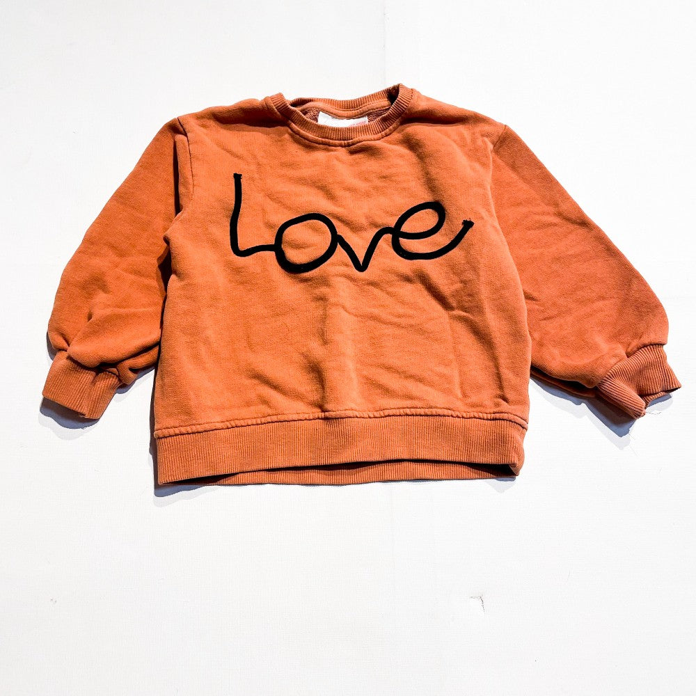 Zara Sweatshirt 3-4Y|174678