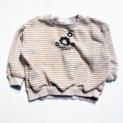 Zara Sweatshirt 18M **Imperfection|176492