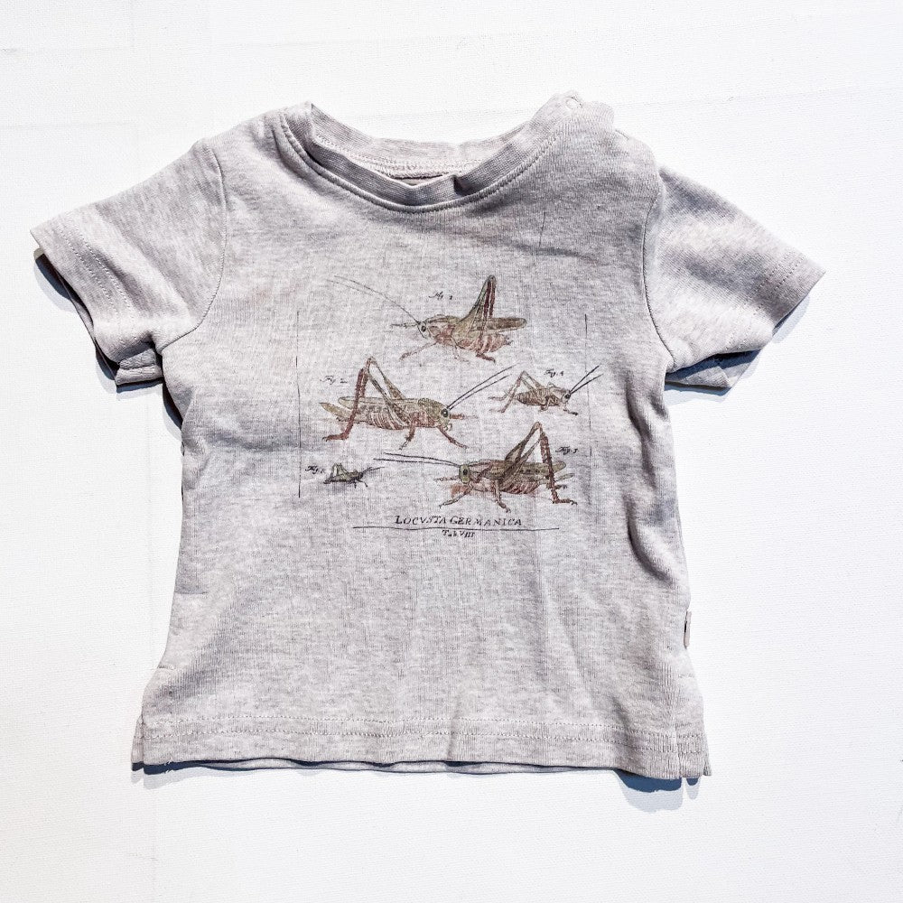 Wheat Top 6M *Imperfection|156838