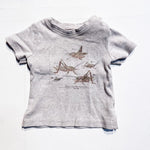 Wheat Top 6M *Imperfection|156838
