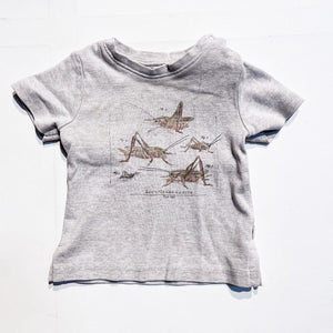 Wheat Top 6M *Imperfection|156838