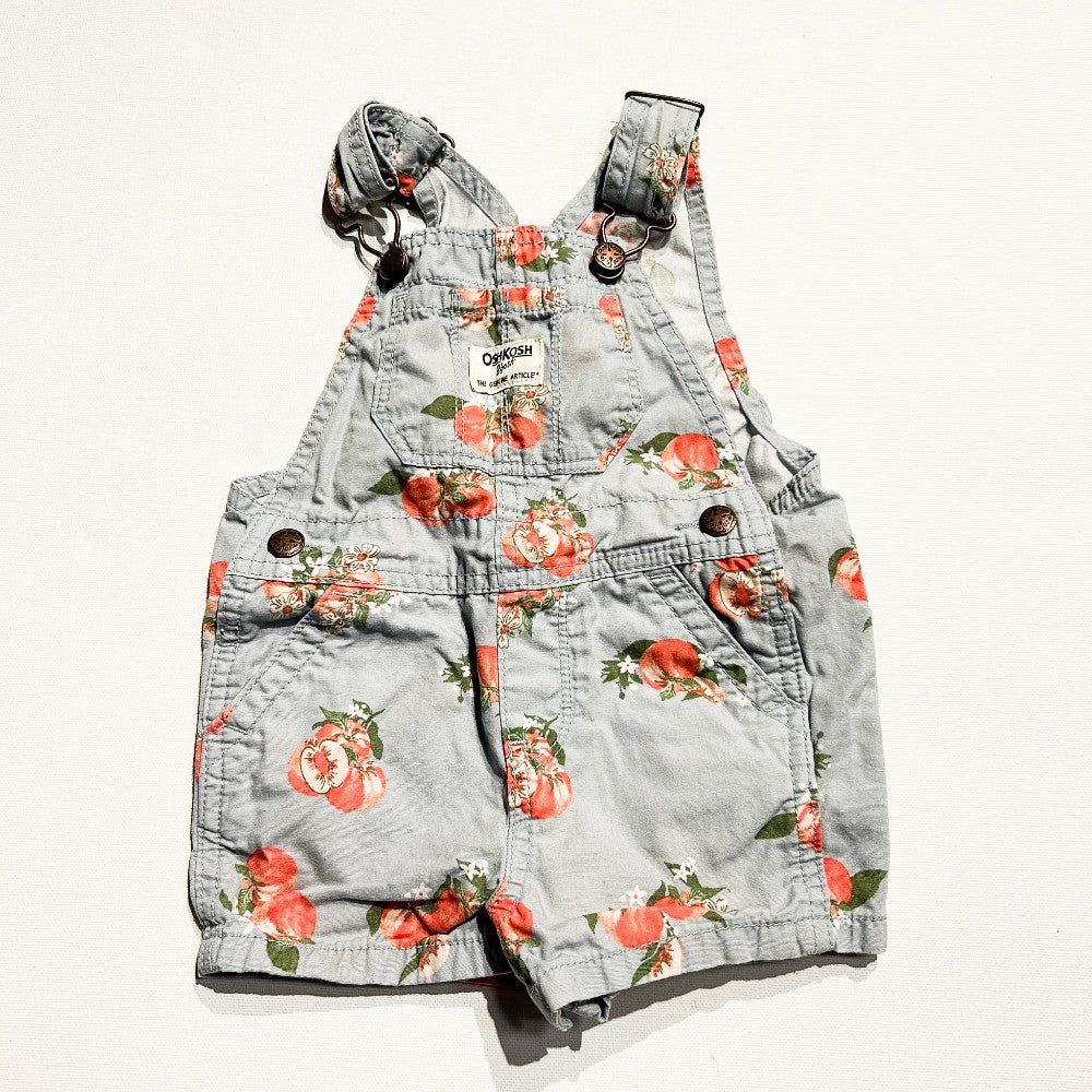 OshKosh Overalls 12M|212876