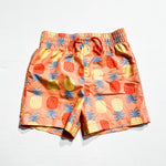 Joe Shorts 18-24M|225690