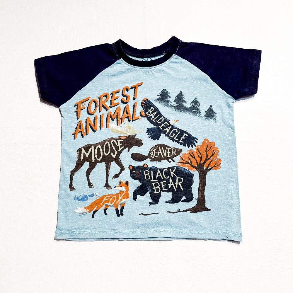 Hatley Top 4Y|155449
