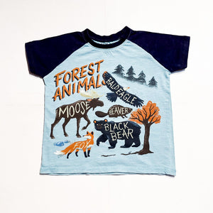 Hatley Top 4Y|155449
