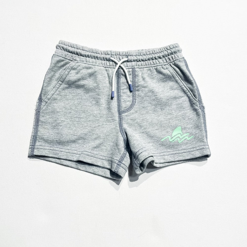 Carter's Shorts 3T|224465