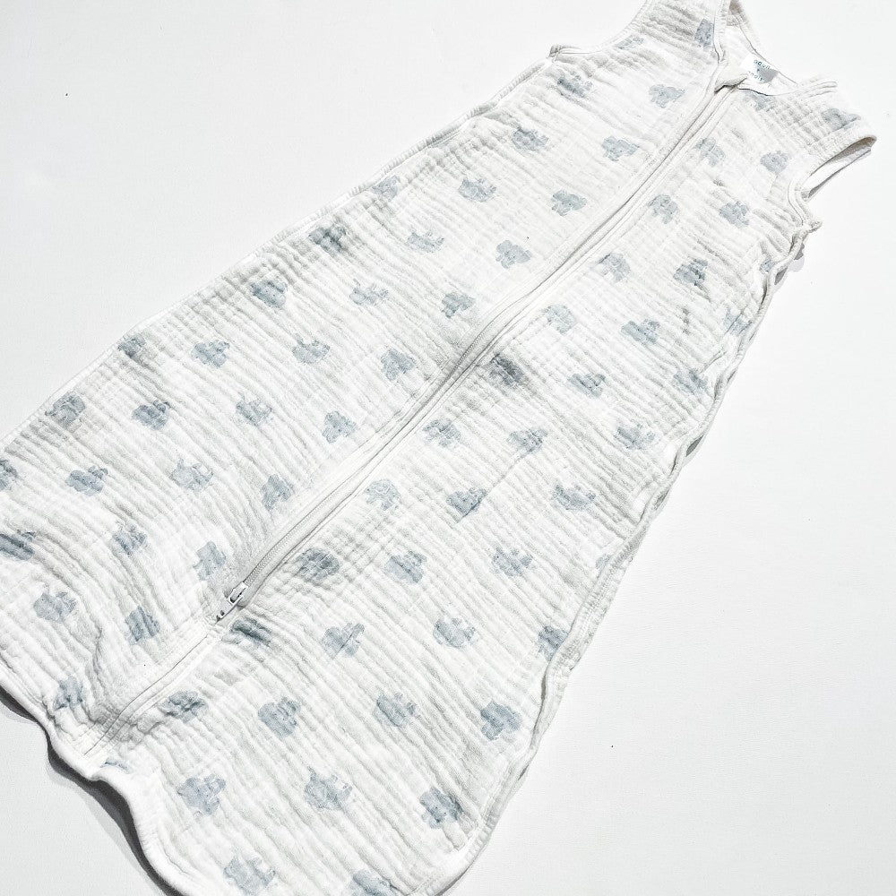 Aden & Anais Sleep Sack 6-18M|229347