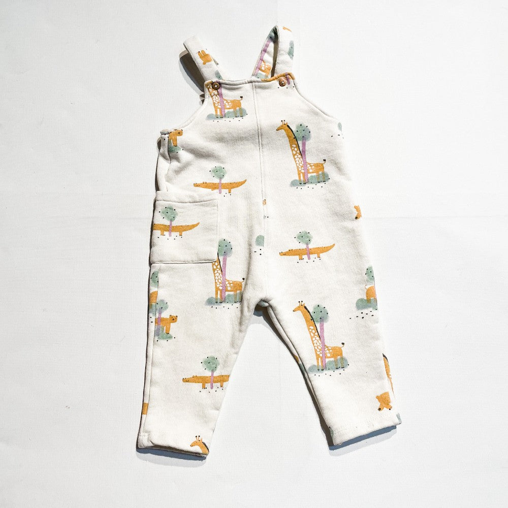 Zara Overalls 9-12M|162503