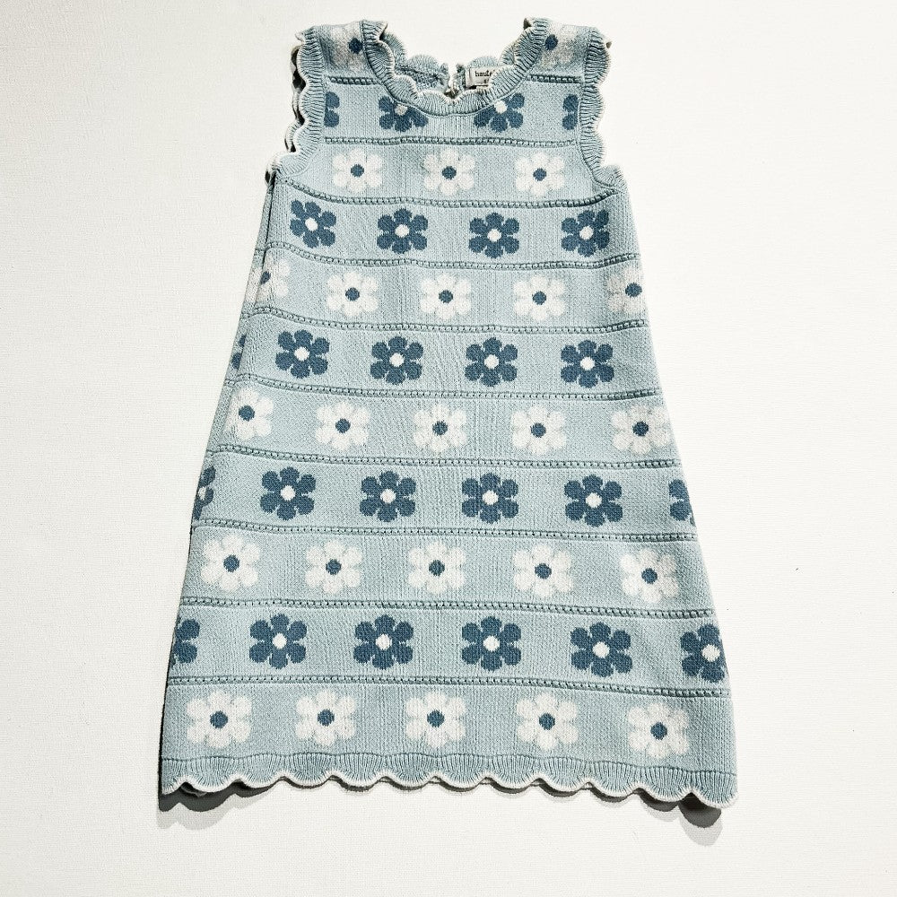 Haute Hippie Dress 4Y|211215