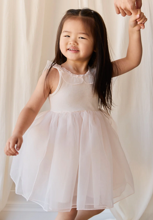 Jamie Kay - Adalyn Dress Blushed Rose|176894