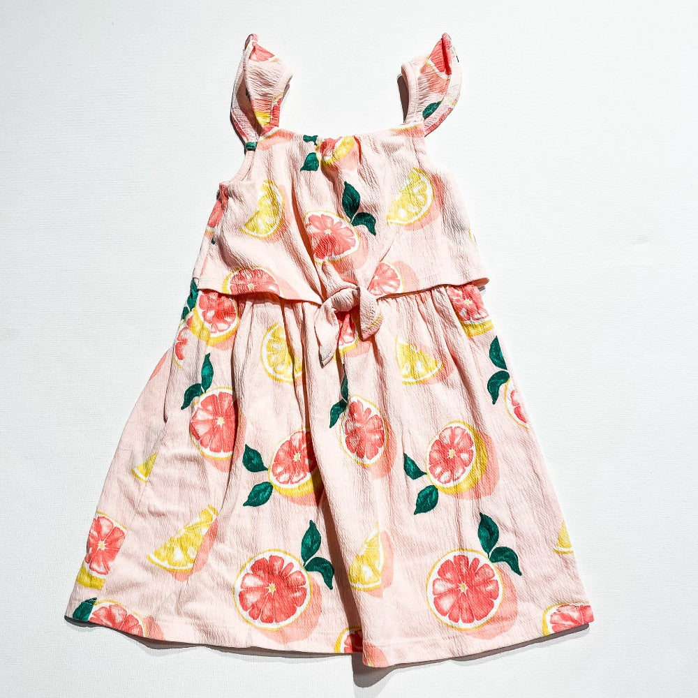Carters Dress 4T|220990