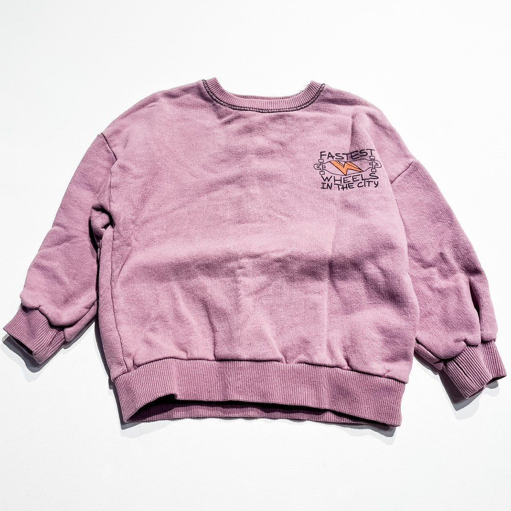 Zara Sweatshirt 2-3Y|214636