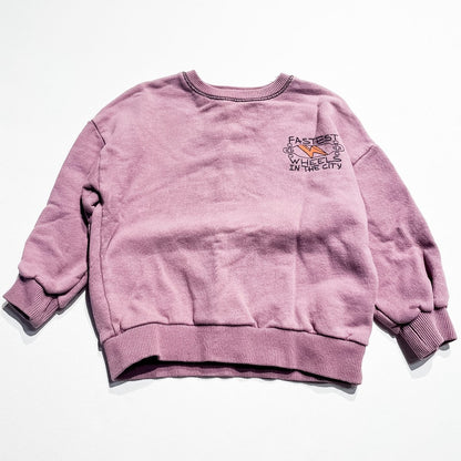 Zara Sweatshirt 2-3Y|214636