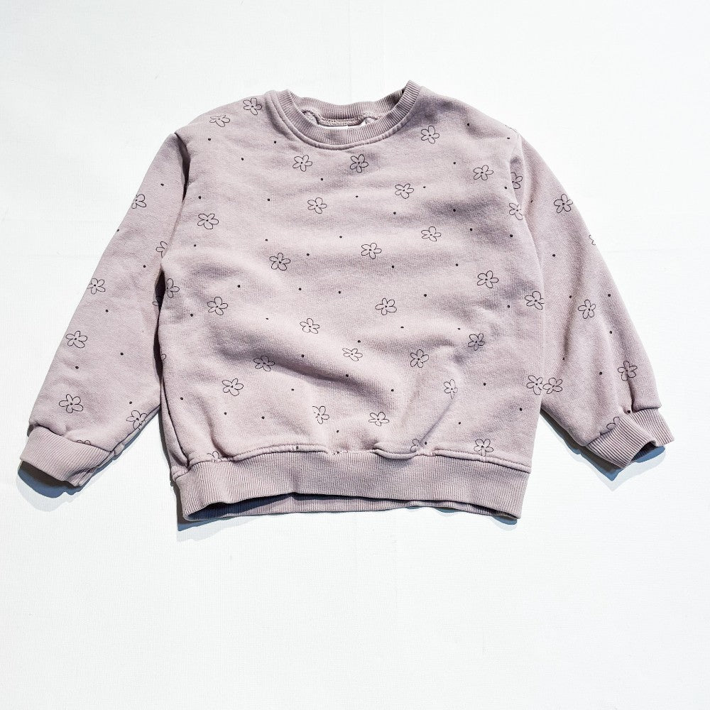 Zara Sweatshirt 4-5Y|169235