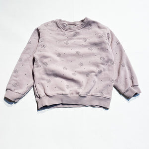 Zara Sweatshirt 4-5Y|169235