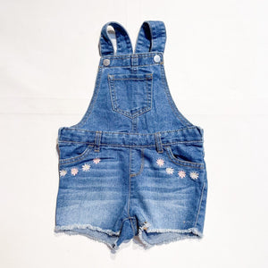 Childrense Place Dress 2Y|150963