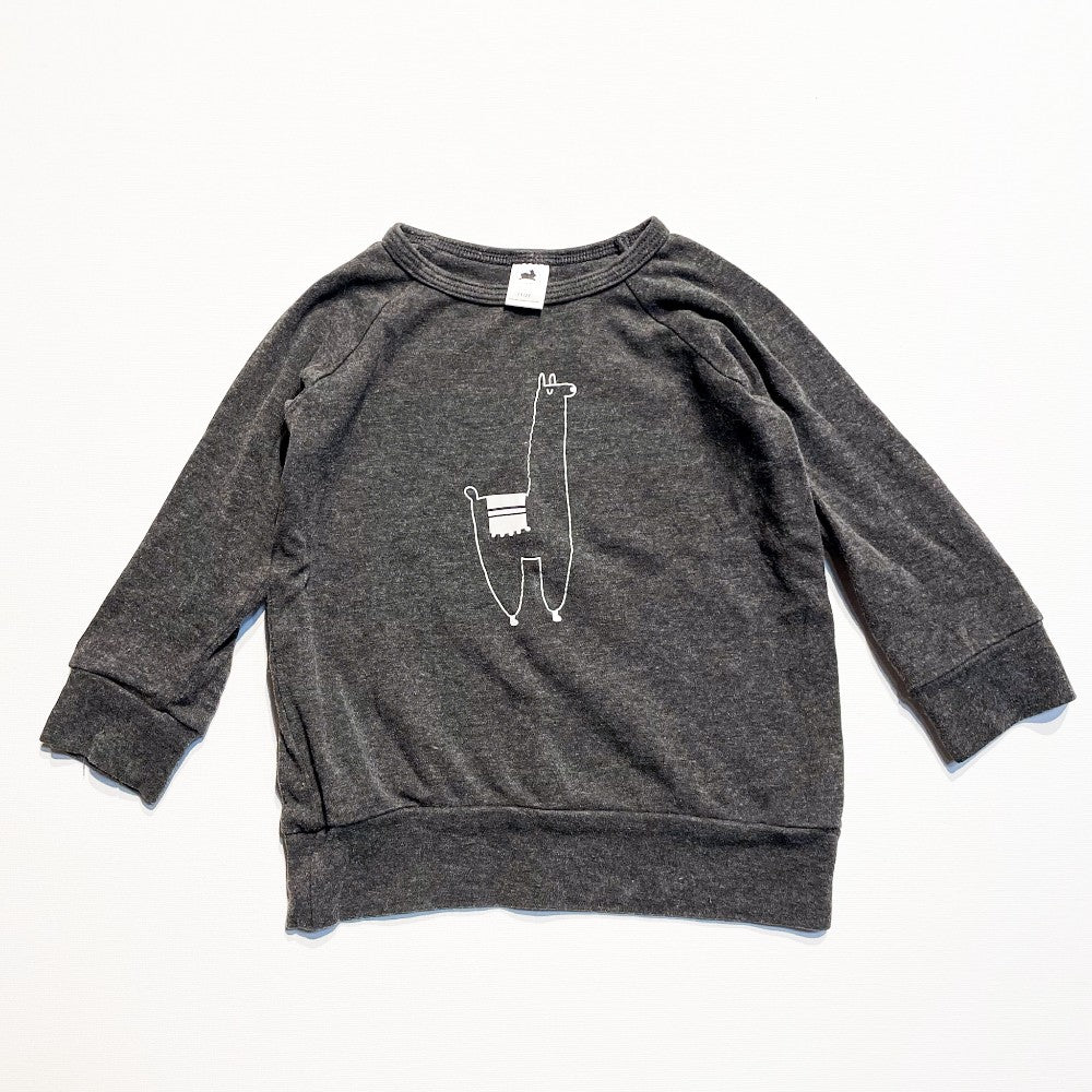 Little & Lively Sweatshirt 1-2Y|186080