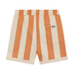 Daily 7 - Big Stripe Rodeo Shorts