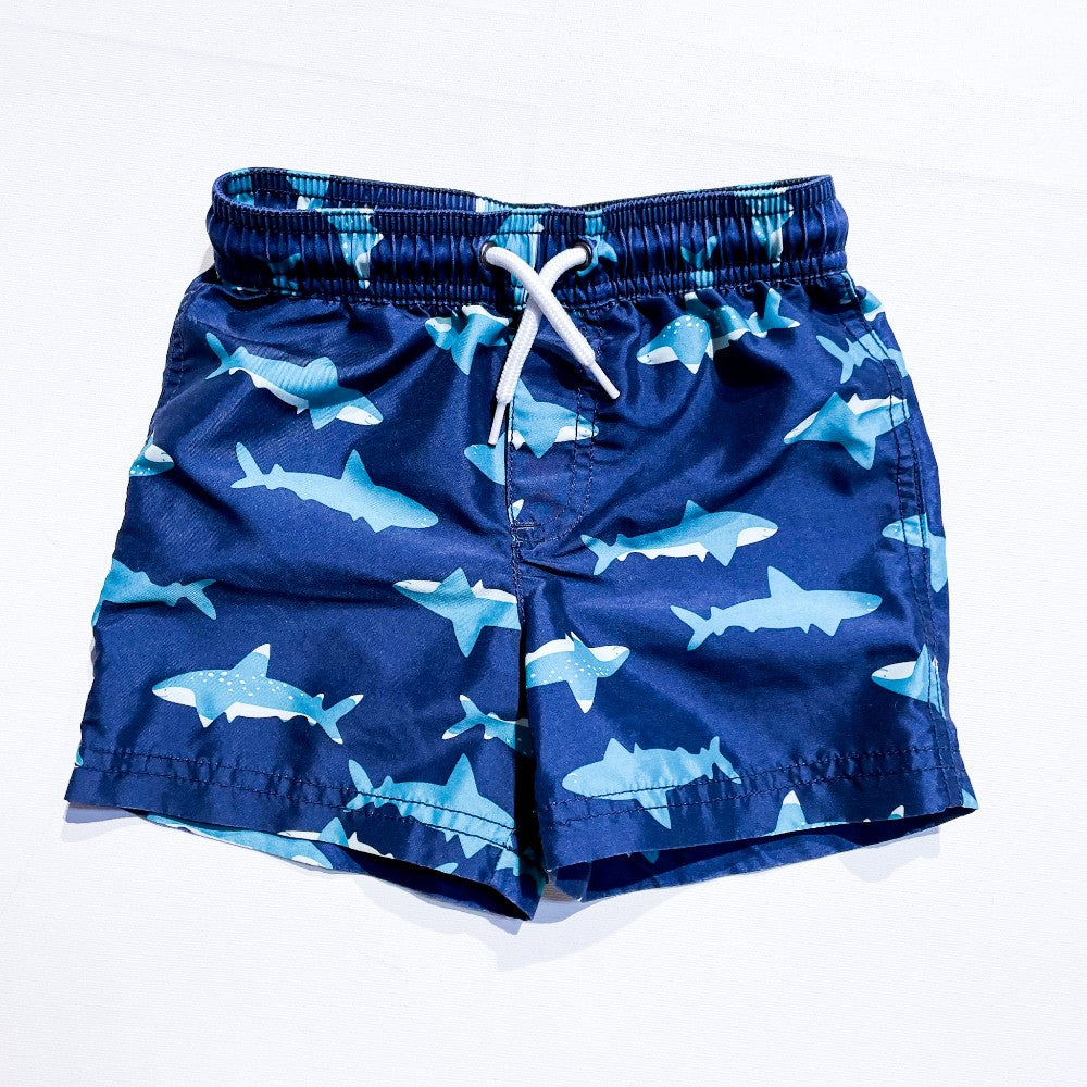 Carter's Shorts 24M|149870