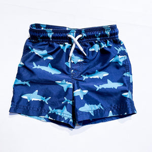 Carter's Shorts 24M|149870